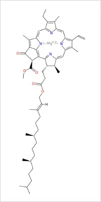 192px-Chlorophyll_a